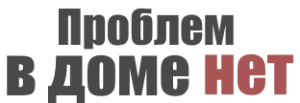 ООО "Проблем в доме нет" - Город Хабаровск logo.png